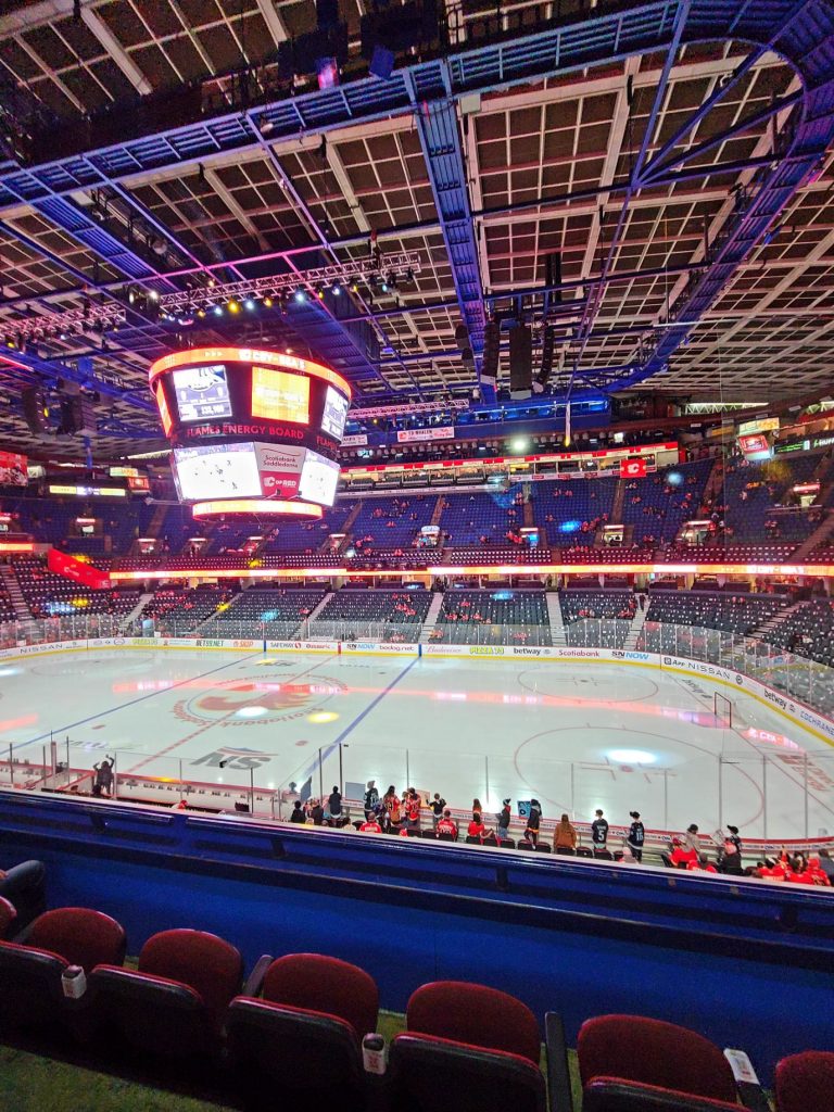flames seats saddle dome